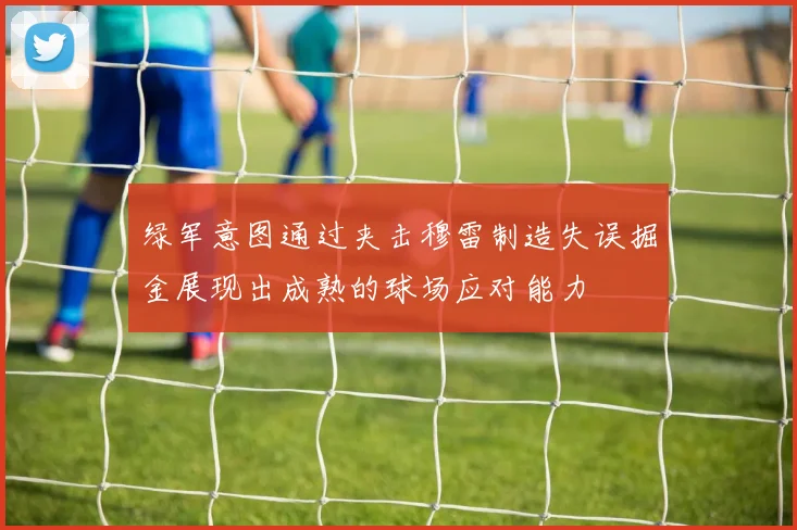 绿军意图通过夹击穆雷制造失误掘金展现出成熟的球场应对能力