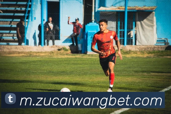 足彩网发展历程